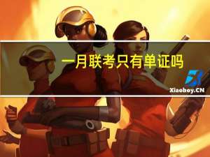 一月联考只有单证吗