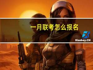 一月联考怎么报名