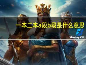 一本二本a段b段是什么意思