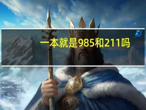 一本就是985和211吗