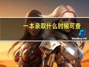 一本录取什么时候可查