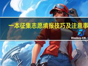 一本征集志愿填报技巧及注意事项
