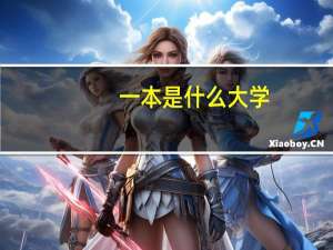一本是什么大学