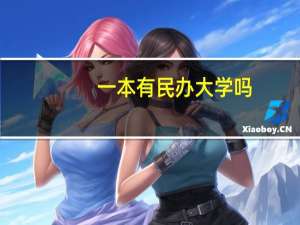 一本有民办大学吗