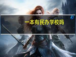 一本有民办学校吗