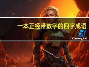 一本正经带数字的四字成语