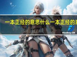 一本正经的意思什么一本正经的意思