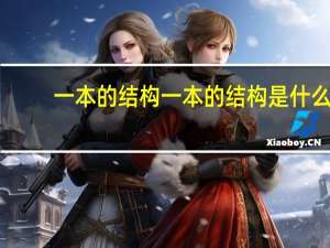 一本的结构一本的结构是什么