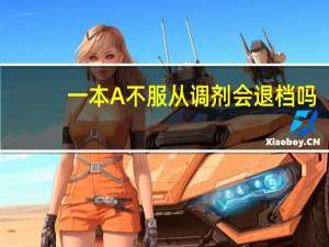 一本A不服从调剂会退档吗
