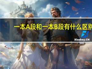 一本A段和一本B段有什么区别