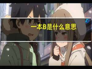 一本B是什么意思