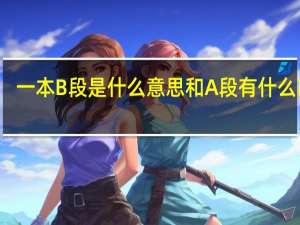 一本B段是什么意思 和A段有什么区别