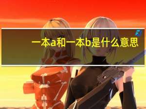 一本a和一本b是什么意思