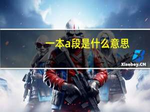 一本a段是什么意思