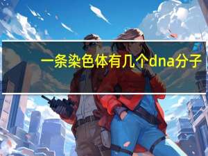 一条染色体有几个dna分子