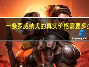 一条罗威纳犬的真实价格需要多少钱