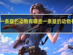 一条腿的动物有哪些 一条腿的动物有什么