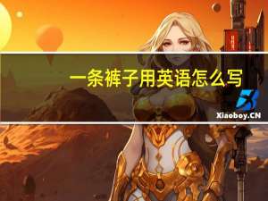 一条裤子用英语怎么写