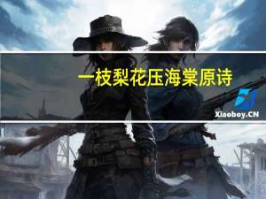 一枝梨花压海棠原诗