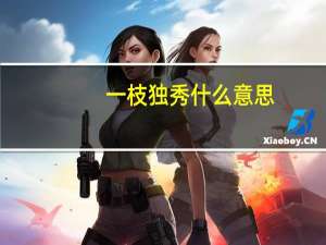 一枝独秀什么意思（百闻不如一见什么意思）