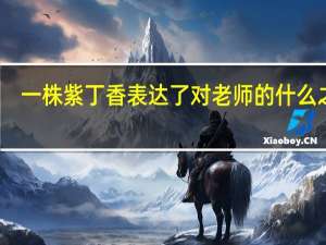 一株紫丁香表达了对老师的什么之情