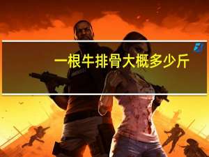 一根牛排骨大概多少斤