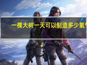 一棵大树一天可以制造多少氧气