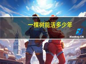 一棵树能活多少年