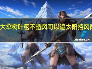 一棵棵榕树就像一点点撑开的绿绒大伞树叶密不透风可以遮太阳挡风雨这句话形象的描写出了榕树的哪些特点