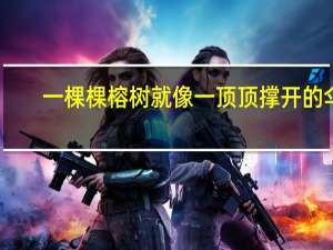 一棵棵榕树就像一顶顶撑开的伞