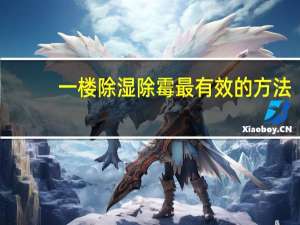 一楼除湿除霉最有效的方法