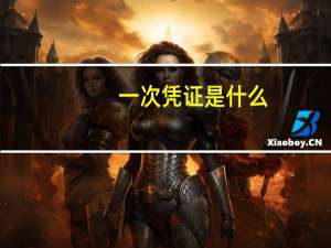 一次凭证是什么