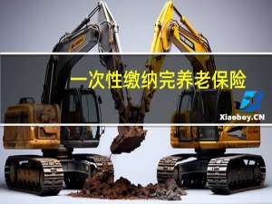 一次性缴纳完养老保险，等到退休后可以领取多少钱