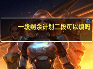 一段剩余计划二段可以填吗