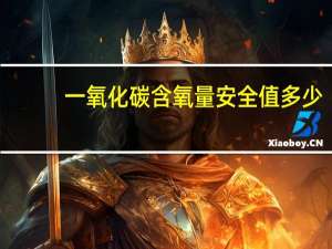 一氧化碳含氧量安全值多少