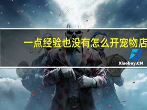 一点经验也没有怎么开宠物店