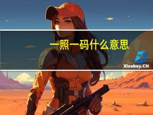 一照一码什么意思