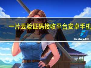 一片云验证码接收平台安卓手机版（一片云验证码官网）