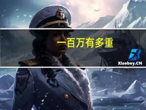 一百万有多重