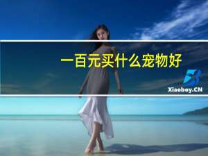 一百元买什么宠物好