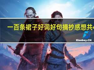 一百条裙子好词好句摘抄感想共4章