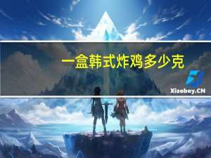 一盒韩式炸鸡多少克