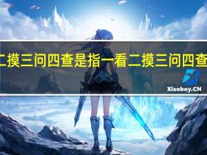 一看二摸三问四查是指 一看二摸三问四查指的是什么