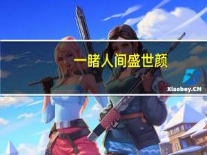 一睹人间盛世颜