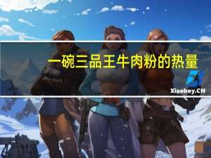 一碗三品王牛肉粉的热量