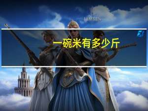 一碗米有多少斤