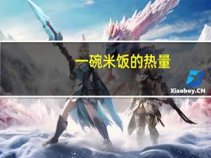 一碗米饭的热量