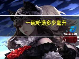 一碗粉汤多少毫升