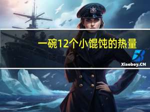 一碗12个小馄饨的热量