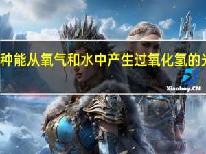 一种能从氧气和水中产生过氧化氢的光催化剂